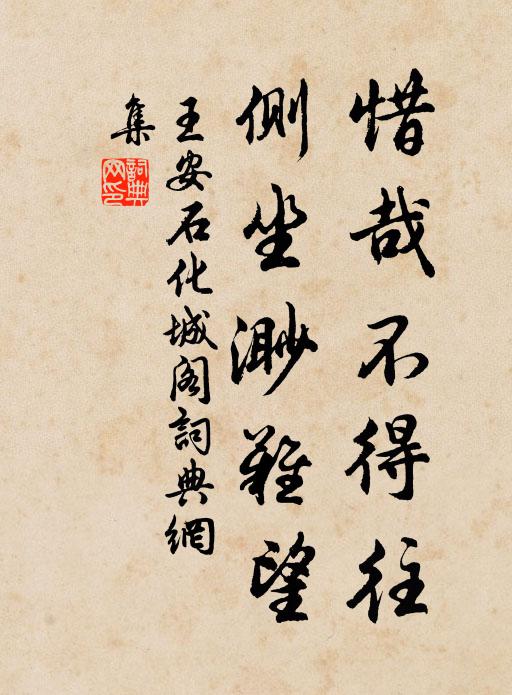 王安石惜哉不得往，侧坐渺难望书法作品欣赏