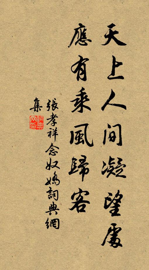 张孝祥天上人间凝望处，应有乘风归客书法作品欣赏