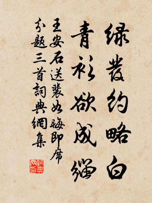 王安石绿发约略白，青衫欲成缁书法作品欣赏
