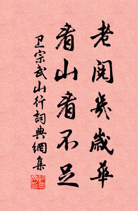 卫宗武老阅几岁华，看山看不足书法作品欣赏
