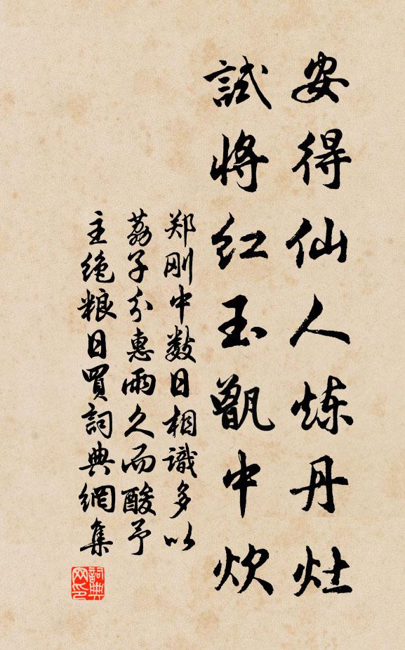 郑刚中安得仙人炼丹灶，试将红玉甑中炊书法作品欣赏