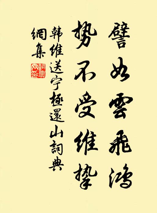 韩维譬如云飞鸿，势不受维挚书法作品欣赏