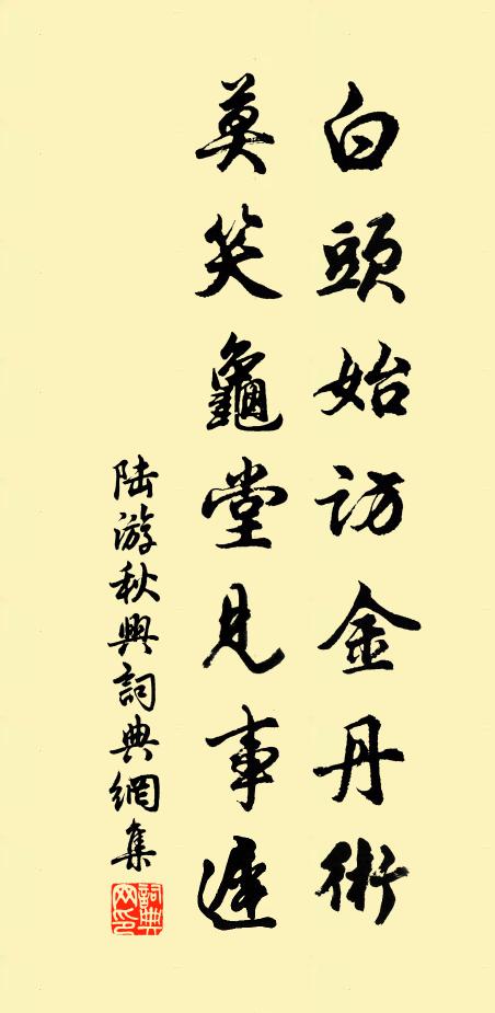 陆游白头始访金丹术，莫笑龟堂见事迟书法作品欣赏