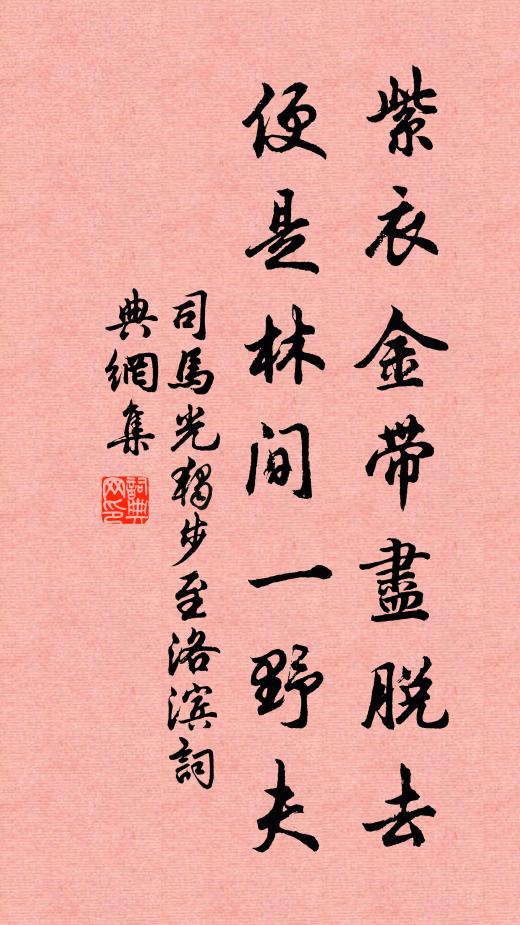 司马光紫衣金带尽脱去，便是林间一野夫书法作品欣赏