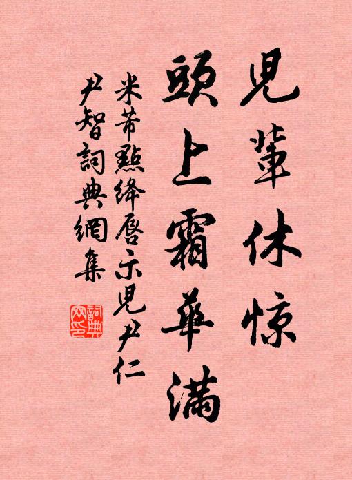 米芾儿辈休惊，头上霜华满书法作品欣赏