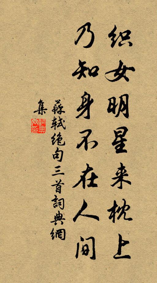 苏轼织女明星来枕上，乃知身不在人间书法作品欣赏