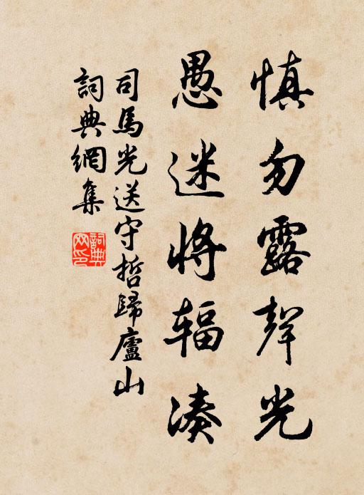 司马光慎勿露声光，愚迷将辐凑书法作品欣赏
