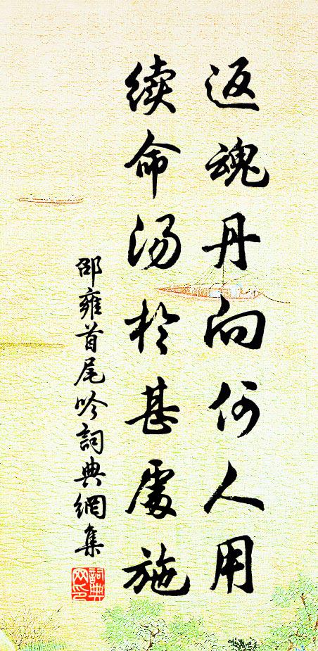 邵雍返魂丹向何人用，续命汤於甚处施书法作品欣赏