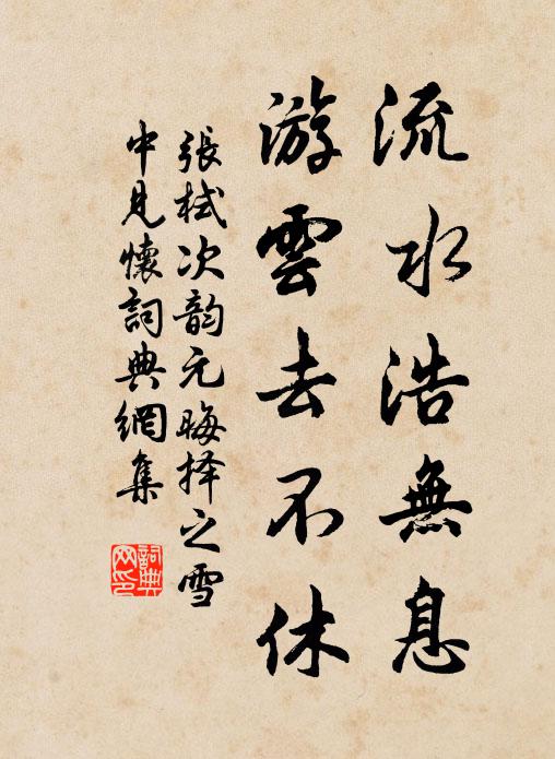张栻流水浩无息，游云去不休书法作品欣赏