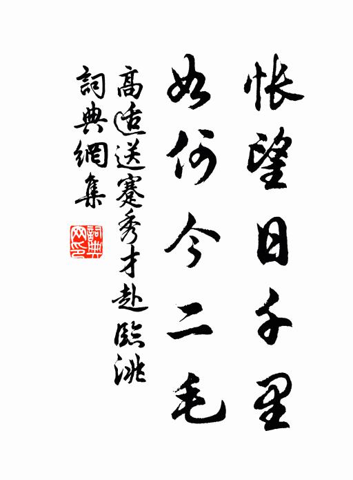 高适怅望日千里，如何今二毛书法作品欣赏