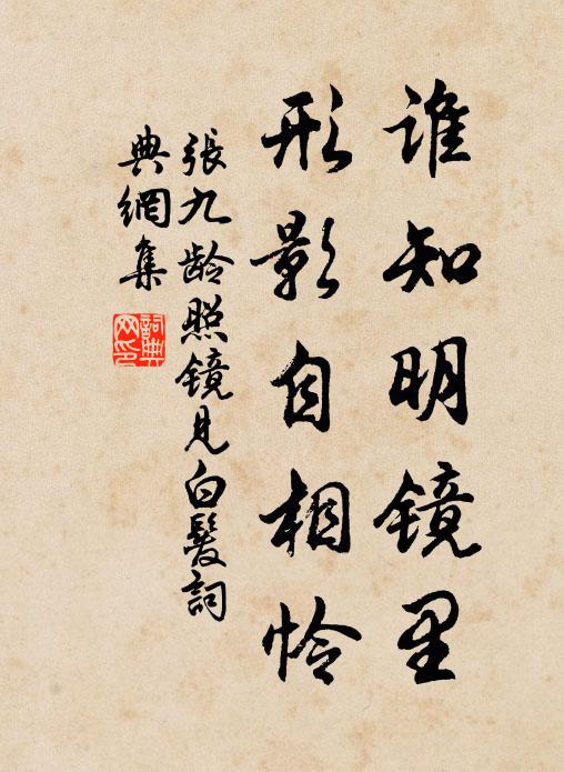 张九龄谁知明镜里，形影自相怜书法作品欣赏