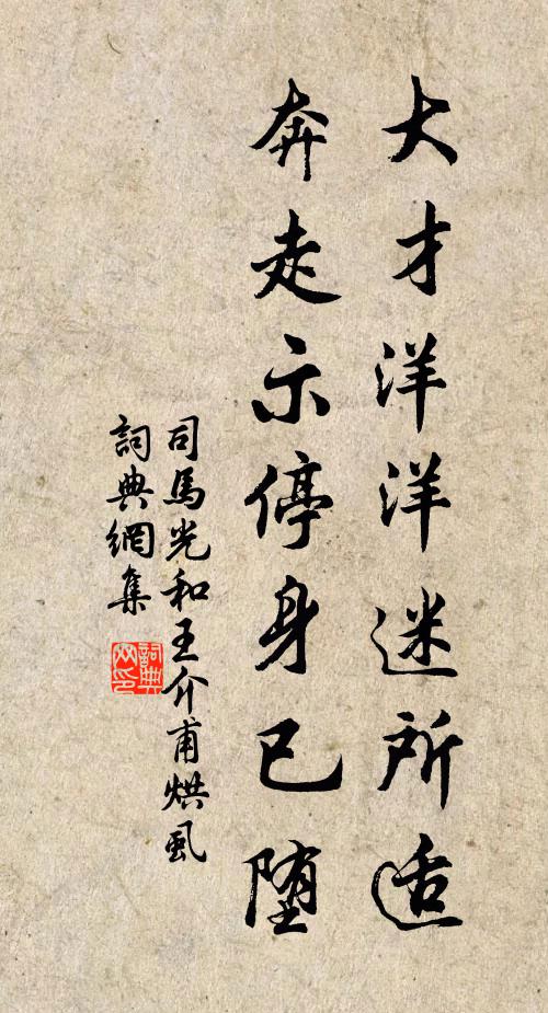 司马光大才洋洋迷所适，奔走示停身已堕书法作品欣赏