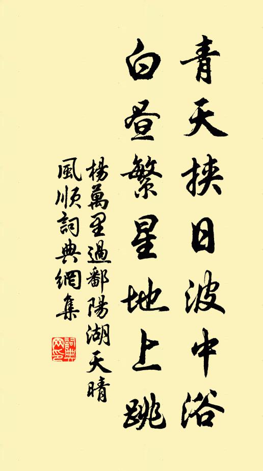 杨万里青天挟日波中浴，白昼繁星地上跳书法作品欣赏