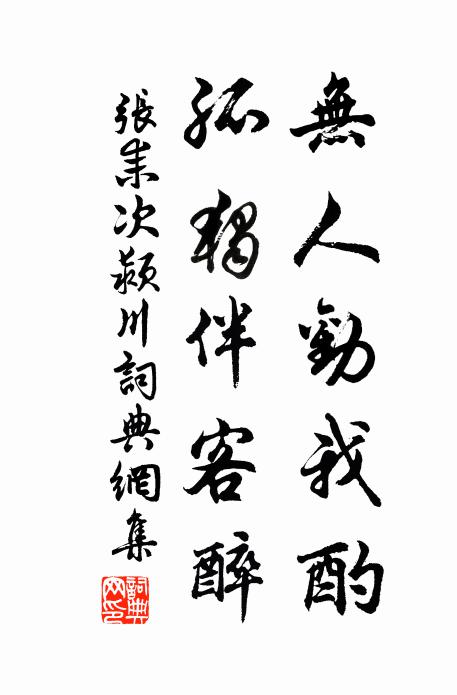 张耒无人劝我酌，孤独伴客醉书法作品欣赏