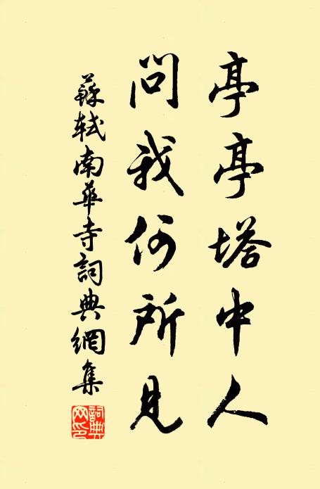 苏轼亭亭塔中人，问我何所见书法作品欣赏