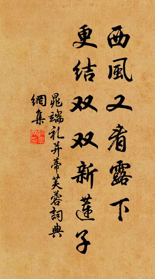 晁端礼西风又看露下，更结双双新莲子书法作品欣赏