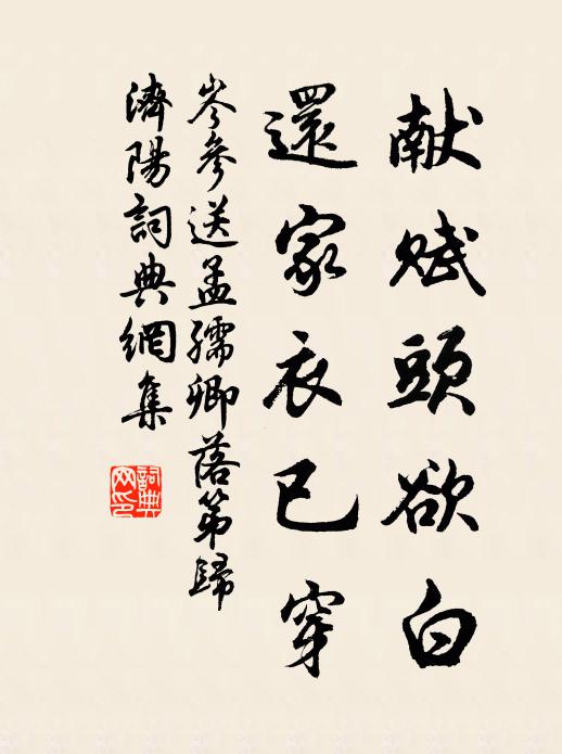岑参献赋头欲白，还家衣已穿书法作品欣赏