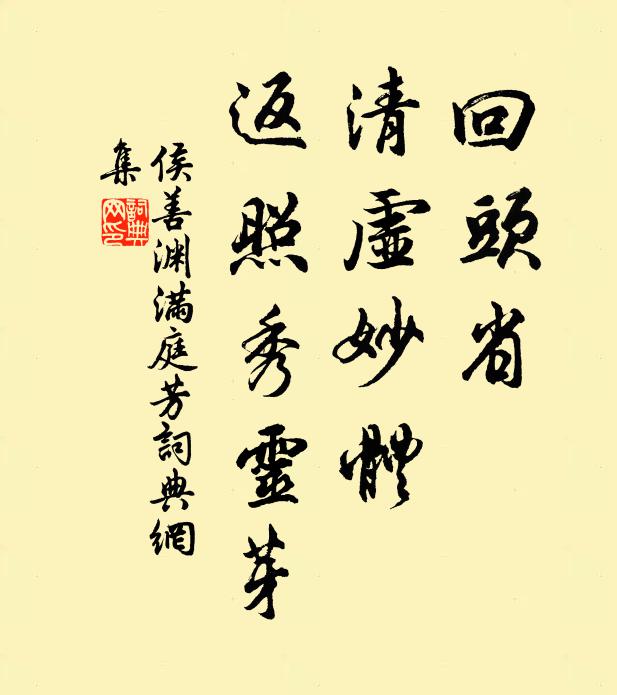 侯善渊回头省，清虚妙体，返照秀灵芽书法作品欣赏