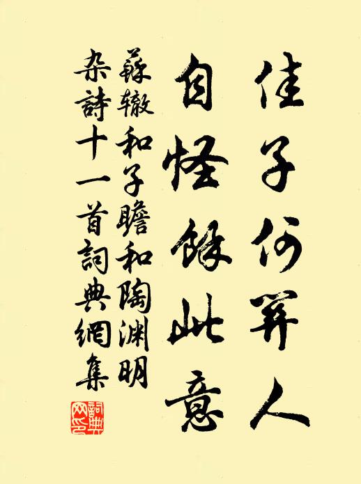 苏辙佳子何关人，自怪余此意书法作品欣赏
