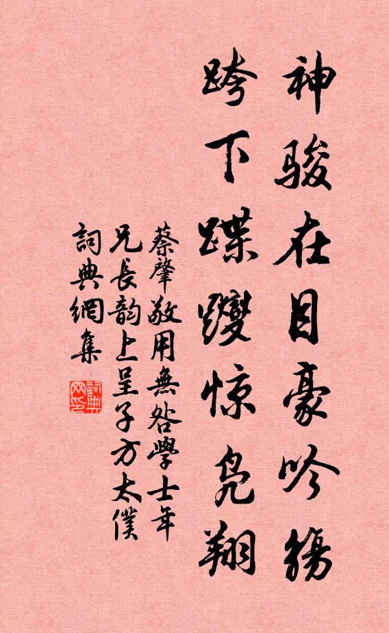 蔡肇神骏在目豪吟觞，跨下蹀躞惊凫翔书法作品欣赏