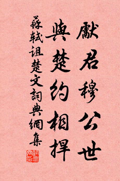 苏轼先君穆公世，与楚约相捍书法作品欣赏