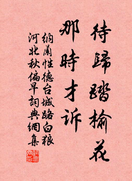 纳兰性德待归踏榆花，那时才诉书法作品欣赏