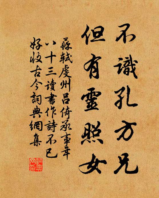 苏轼不识孔方兄，但有灵照女书法作品欣赏