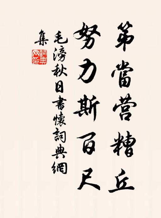 毛滂第当营糟丘，努力斯百尺书法作品欣赏