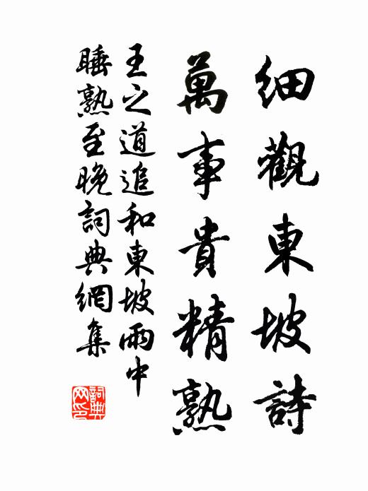 王之道细观东坡诗，万事贵精熟书法作品欣赏
