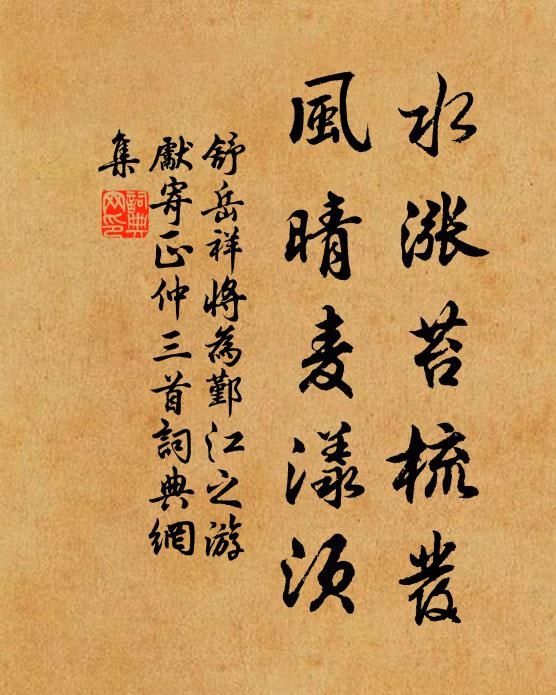 舒岳祥水涨苔梳发，风晴麦漾须书法作品欣赏