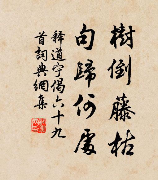 释道宁树倒藤枯，句归何处书法作品欣赏