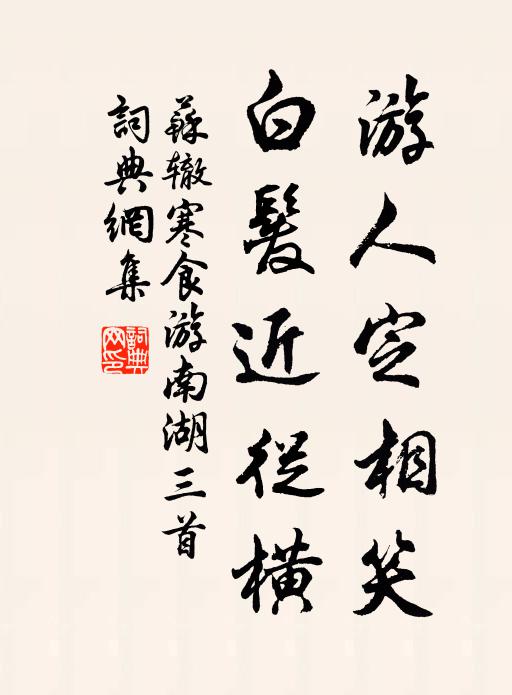 苏辙游人定相笑，白发近从横书法作品欣赏