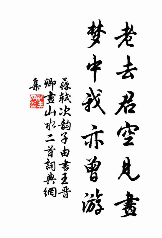苏轼老去君空见画，梦中我亦曾游书法作品欣赏