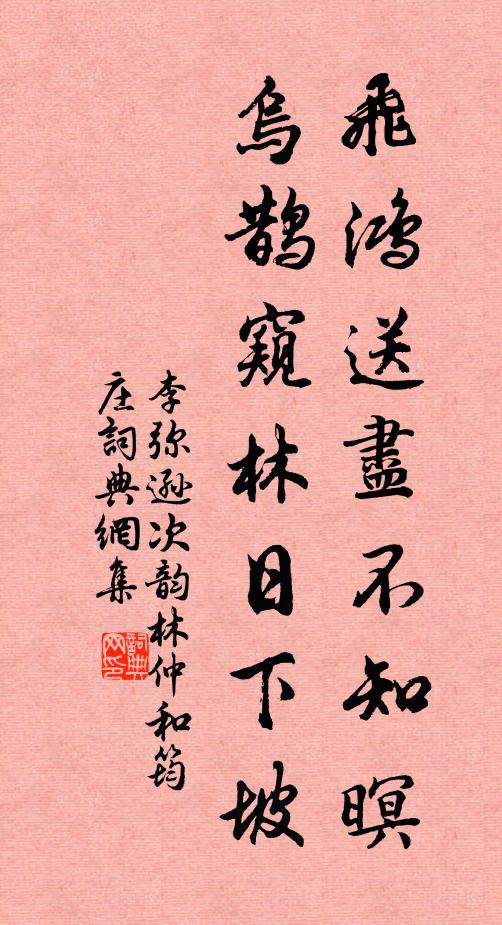 李弥逊飞鸿送尽不知暝，乌鹊窥林日下坡书法作品欣赏