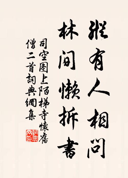 司空图纵有人相问,林间懒拆书书法作品欣赏