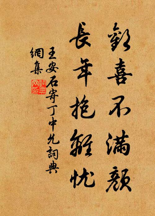 王安石欢喜不满颜，长年抱离忧书法作品欣赏