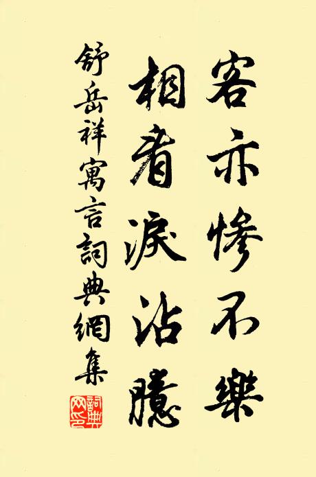 舒岳祥客亦惨不乐，相看泪沾臆书法作品欣赏