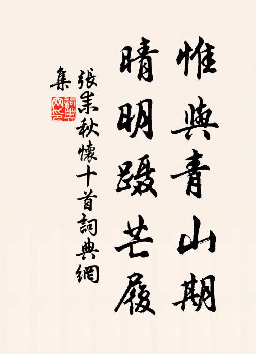 张耒惟与青山期，晴明蹑芒履书法作品欣赏