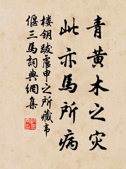 楼钥青黄木之灾，此亦马所病书法作品欣赏