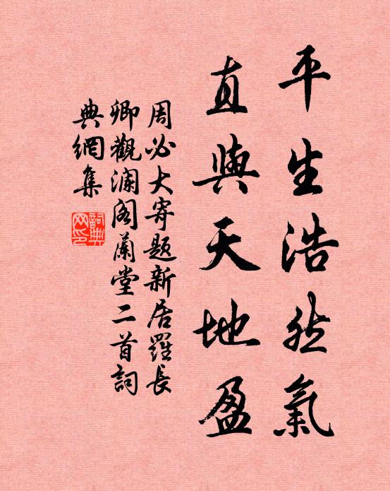 周必大平生浩然气，直与天地盈书法作品欣赏