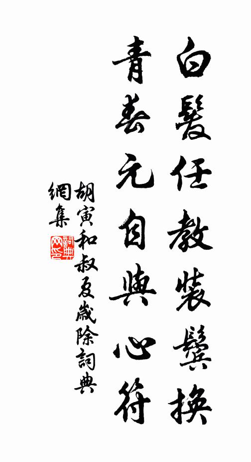 胡寅白发任教装鬓换，青春元自与心符书法作品欣赏