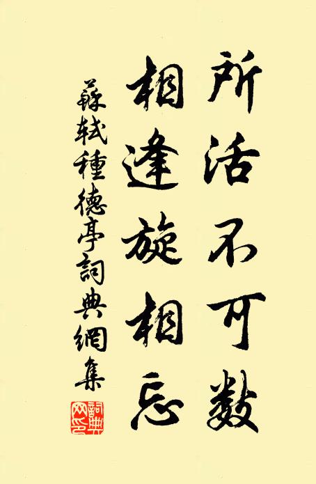 苏轼所活不可数，相逢旋相忘书法作品欣赏