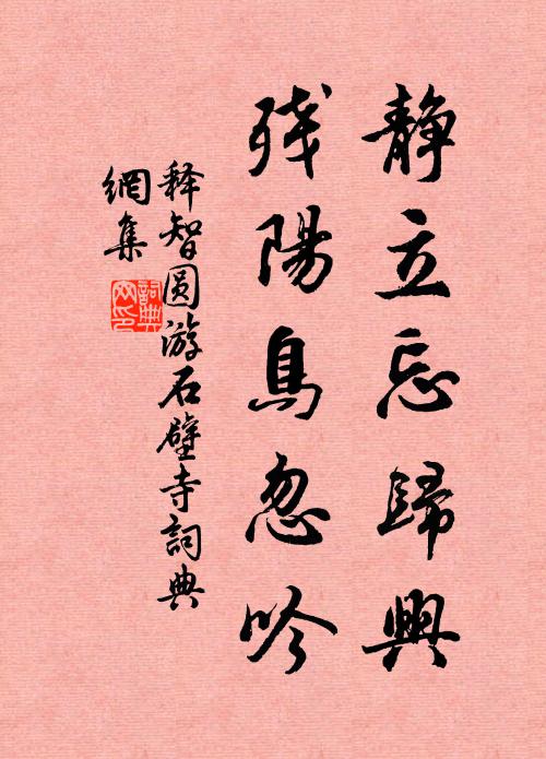 释智圆静立忘归兴，残阳鸟忽吟书法作品欣赏
