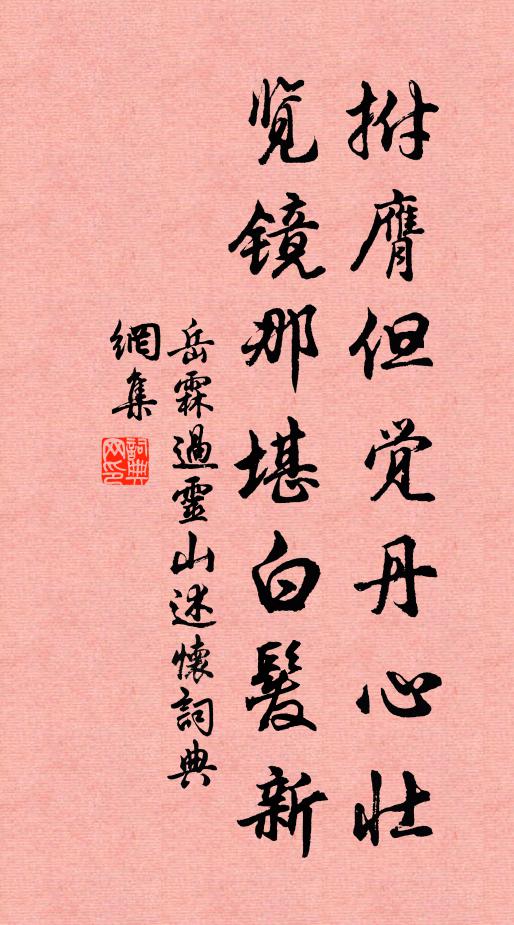 岳霖拊膺但觉丹心壮，览镜那堪白发新书法作品欣赏