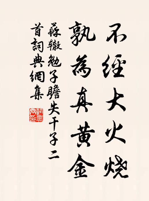苏辙不经大火烧，孰为真黄金书法作品欣赏