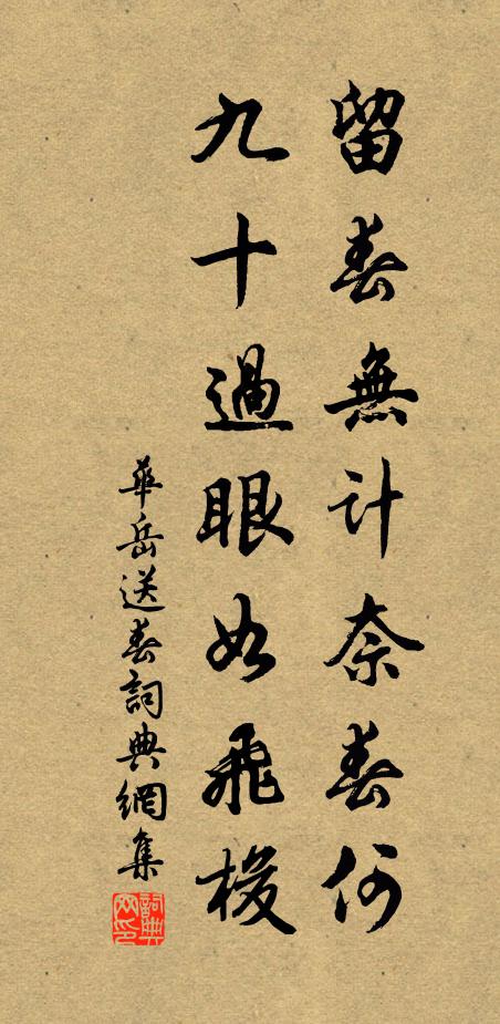 华岳留春无计奈春何，九十过眼如飞梭书法作品欣赏