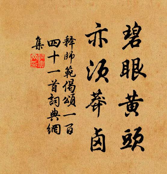 释师范碧眼黄头，亦须莽卤书法作品欣赏