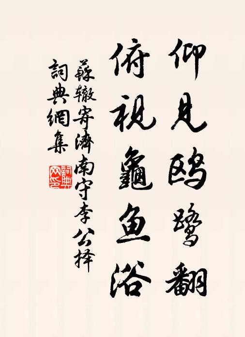 苏辙仰见鸥鹭翻，俯视龟鱼浴书法作品欣赏