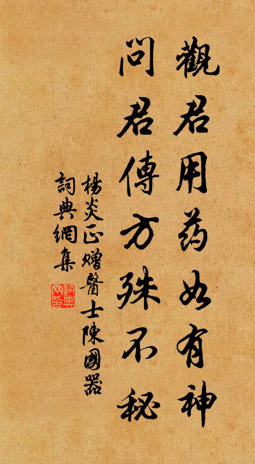 杨炎正观君用药如有神，问君传方殊不秘书法作品欣赏