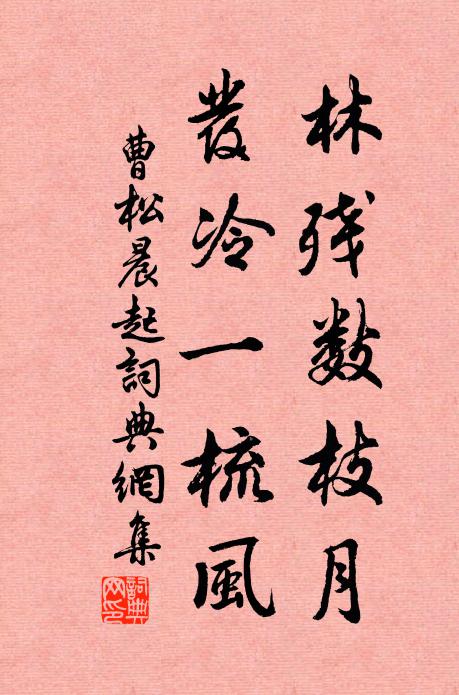 曹松林残数枝月，发冷一梳风书法作品欣赏